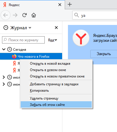 Скриншот: Метод удаления вариантов автоподстановки такой же, как и в Chrome. Чтобы удалить определенную строку,