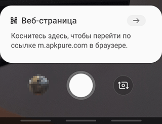 Скриншот: Наведите камеру смартфона на QR-код (он должен быть четким и полностью отображаться)